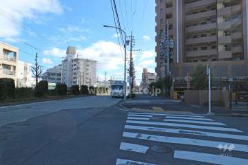 敷地北東側の前面道路