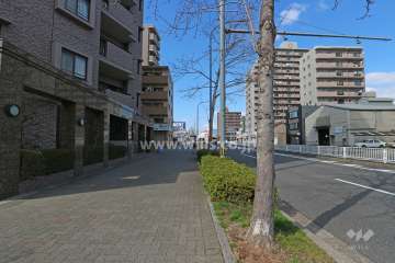 敷地北東側の前面道路