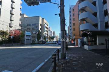 敷地北側の前面道路（西側から）