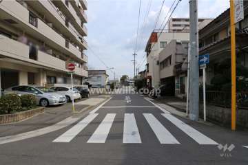 敷地南側の前面道路