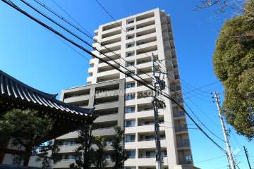 D'グランセ外土居の外観（南東側から)