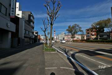 敷地北東側の前面道路（南東側から）