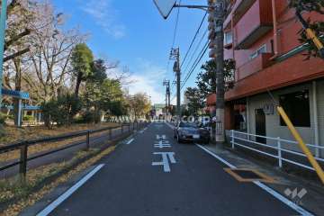 敷地北西側の前面道路（南西側から）