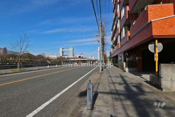 敷地南西側の前面道路（南東側から）