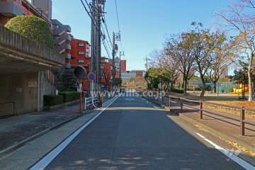 敷地北西側の前面道路（北東側から）