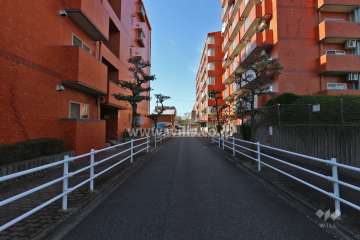 敷地南東側の前面道路（北東側から）