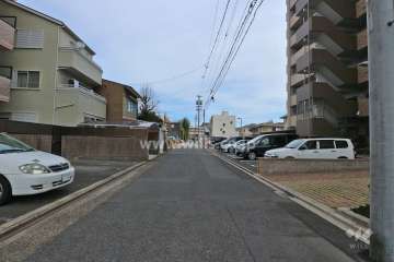 敷地北側の前面道路（西側から）