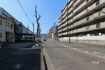 敷地南側の前面道路