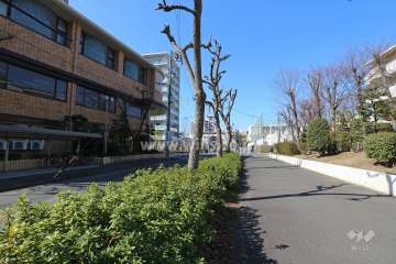 敷地南側の前面道路