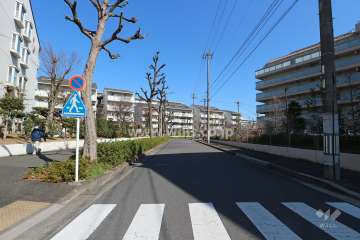 敷地南東側の前面道路
