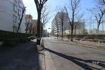 敷地西側の前面道路