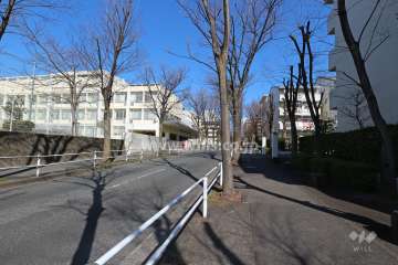 敷地西側の前面道路