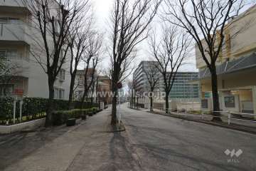 敷地西側の前面道路