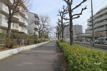 敷地南側の前面道路