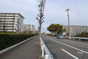 敷地東側の前面道路