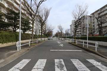 敷地南側の前面道路