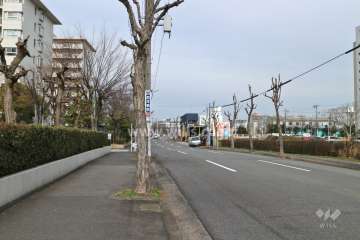 敷地東側の前面道路（南側から）