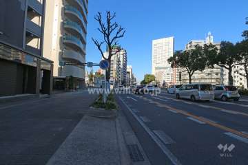 敷地東側の前面道路（国道22号線）