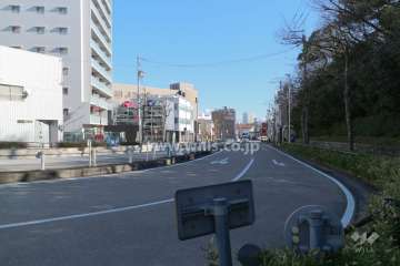 敷地南側の前面道路（西側から）