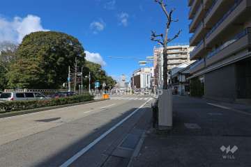 敷地西側の前面道路