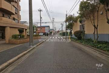 敷地西側の前面道路（北側から）