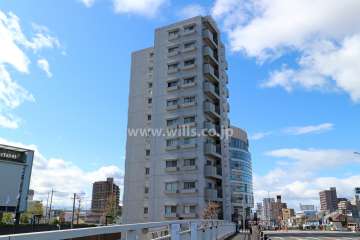 サンロータリー白鳥の外観（北東側から）