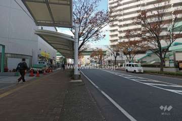 敷地北側の前面道路（東側から）