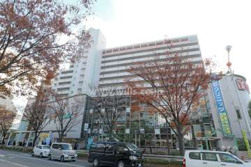 ヴェルクレート日比野B棟の外観(北側から)