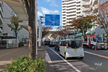 敷地北側の前面道路（東側から）