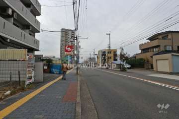 敷地北側の前面道路（東側から）