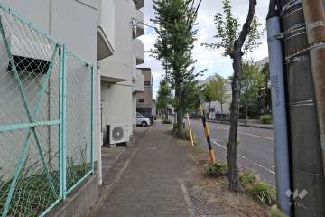 敷地西側の前面道路（北側から）