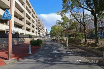 敷地南側の前面道路（西側から）