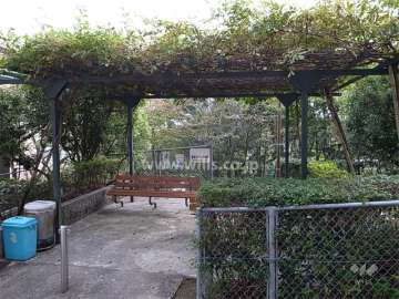 敷地内にある藤棚