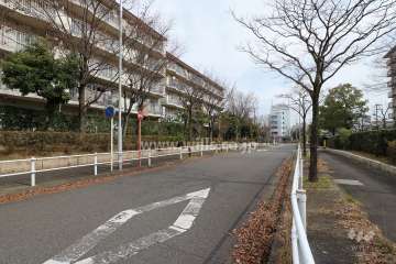 敷地北側の前面道路