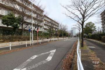 敷地北側の前面道路（西側から）