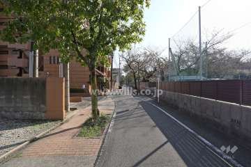 敷地西側の前面道路