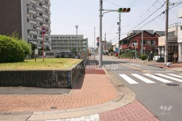 敷地西側の前面道路