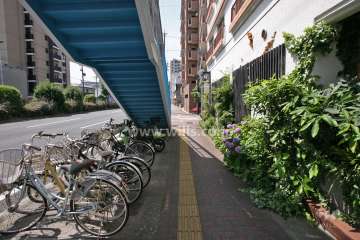 敷地東側の前面道路(北側から)