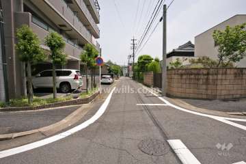 敷地南側の前面道路(西側から)