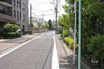 敷地西側の前面道路(北側から)