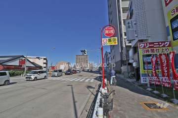 敷地の西側の前面道路（南側から）