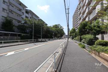 敷地北側の前面道路