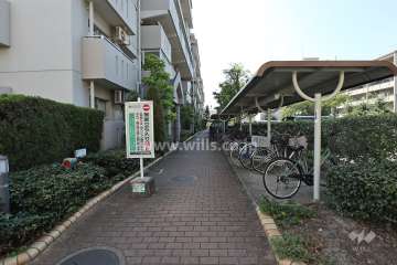 敷地北側の通路