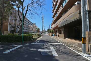 敷地南側の前面道路（東側から）