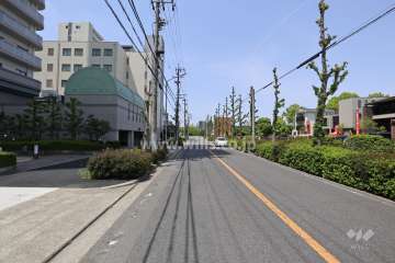 敷地北側の前面道路