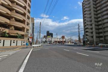 敷地南側の前面道路（西側から）