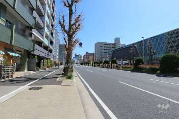 敷地南側の前面道路