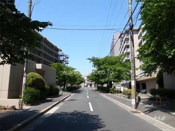 D棟の南側の前面道路