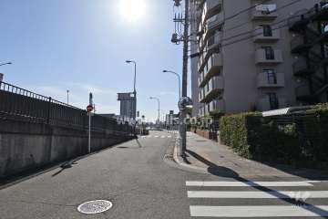敷地南東側の前面道路（北東側から）