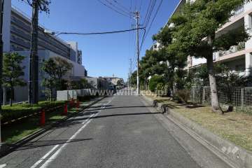 敷地北側の前面道路